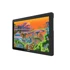 HUION Grafički tablet Kamvas 22 Plus, 21.5" FHD, crni